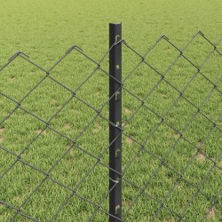 Clôture grillagée avec poteau 25 x 0,8 m Acier galvanisé Gris 646761646761