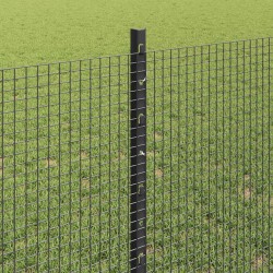 Clôture en fil soudé avec poteaux 100 x 0,8 m Gris Maille 646774646774