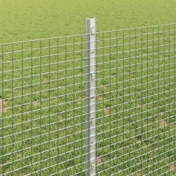 Clôture en fil soudé avec poteaux 10 x 0,8 m Acier galvanisé 646785646785