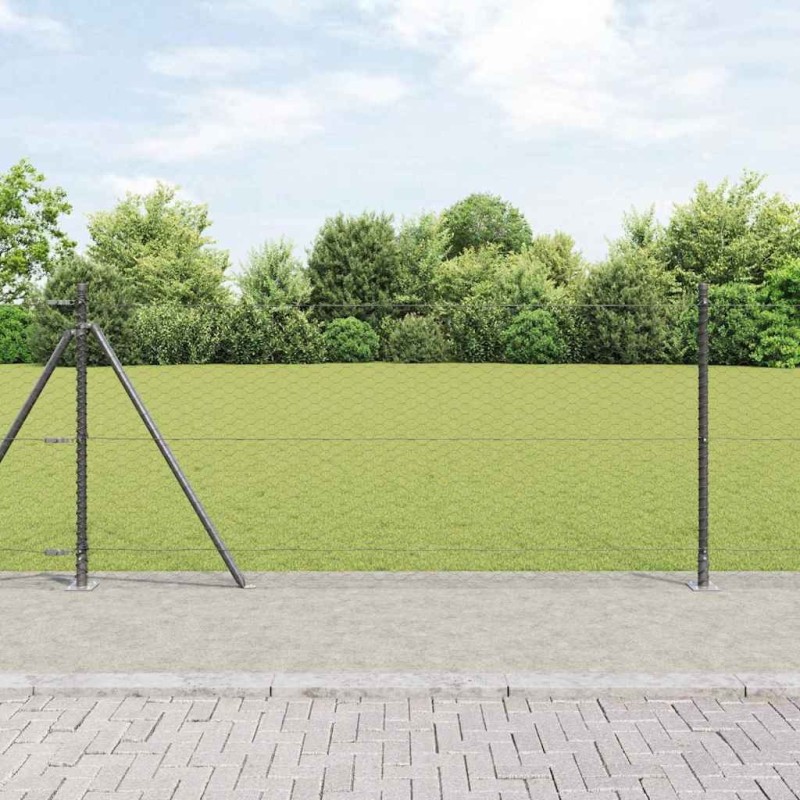 Clôture hexagonale avec base en béton 50 x 1 m Gris Maille 646809646809