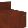 Bordure de Pelouse 20 pcs 100 x 10 x 8 cm Acier Rouillé 646836646836