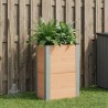 Jardinière surélevée Marron 50 x 30 x 72 cm 646874646874