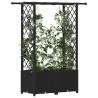 Lit Élevé avec Treillis et Toit Noir 124,5 x 40 x 136 cm PP 646916646916