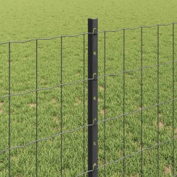 Clôture Euro avec poteau 25 x 0,8 m Acier recouvert de PVC Gris 647086647086