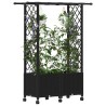 Lit Élevé avec Treillis et Toit Noir 124,5 x 40 x 142 cm PP 647137647137
