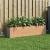 Jardinière surélevée Marron 150 x 30 x 36 cm 647140647140