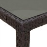 Table de Jardin Marron 150 x 90 x 75 cm polyrotin 647143647143