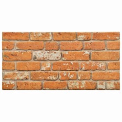 Panneaux muraux 10 pcs Brique 100 x 50 cm Mousse EPS 647326647326