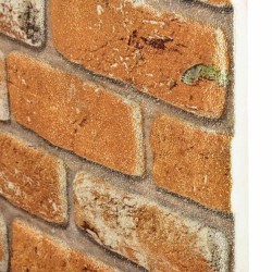 Panneaux muraux 10 pcs Brique 100 x 50 cm Mousse EPS 647326647326