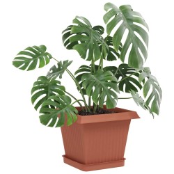 Pots de plantes 6 pcs Rouge brique 20 x 20 x 16 cm Plastique 647341647341