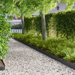 Bordure de Pelouse 10 pcs 103 x 15 cm Acier Noir 647442647442