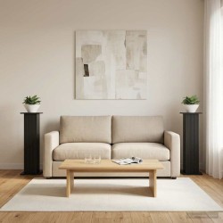 Support de Plante 2 pcs Noir 30,5 x 30 x 100,5 cm 647497647497