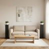 Support de Plante 2 pcs Noir 30,5 x 30 x 100,5 cm 647497647497