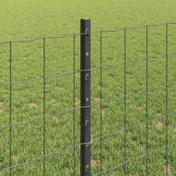 Clôture Euro avec poteau 25 x 0,8 m Acier recouvert de PVC Gris 647518647518