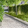 Bordure de Pelouse 20 pcs 100 x 30 cm Acier Argenté 647538647538