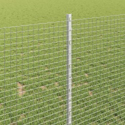 Clôture en fil soudé avec poteaux 25 x 1 m Acier galvanisé 647586647586