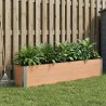 Jardinière surélevée Marron 200 x 30 x 36 cm 647600647600