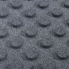 Dalles de Protection Anti-Chute 12 pcs Gris 50 x 50 cm 647632647632