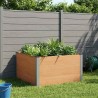 Jardinière surélevée Marron 100 x 100 x 54 cm 647634647634