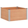 Jardinière surélevée Marron 100 x 100 x 54 cm 647634647634