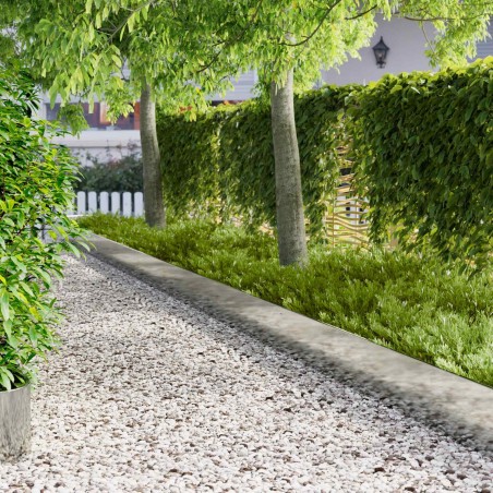 Bordure de Pelouse 20 pcs 103 x 30 cm Acier Argenté 647648647648