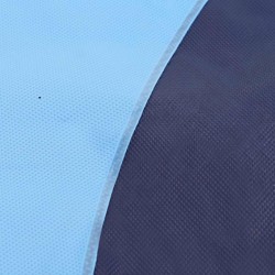 Tapis de Splash pour Enfants et Chiens Bleu Ø150 x 10 cm PVC 647693647693