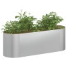 Jardin surélevé Acier galvanisé 120 x 40 x 40 cm 647709647709