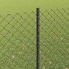 Clôture grillagée avec poteau 10 x 1,6 m Acier recouvert de PVC 647719647719