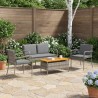 Ensemble de jardin avec coussin acier 647727647727