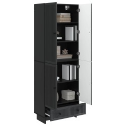 Ensemble de Meubles 2 pcs Noir 66 x 34,5 x 95 cm 647974647974
