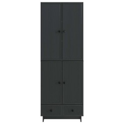 Ensemble de Meubles 2 pcs Noir 66 x 34,5 x 95 cm 647974647974