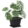 Plateau carré à fleurs 6 pcs Noir 32 x 32 x 2,5 cm Plastique 648002648002
