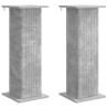 Support de Plante 2 pcs Gris béton 30,5 x 30 x 80,5 cm 648009648009