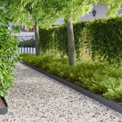 Bordure de Pelouse 10 pcs 103 x 15 cm métal Anthracite 648186648186