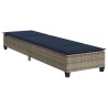 Transat avec coussins gris 55 x 200 x 25,5 cm en rotin synthétique 648380648380