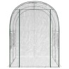 Serre avec cadre 160 x 200 x 192,5 cm PVC Transparent 648499648499