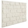 Panneaux muraux 10 pcs Blanc 100 x 50 cm Mousse EPS 648506648506