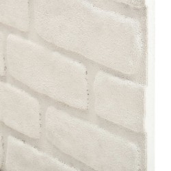 Panneaux muraux 10 pcs Blanc 100 x 50 cm Mousse EPS 648506648506