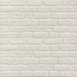 Panneaux muraux 10 pcs Blanc 100 x 50 cm Mousse EPS 648506648506