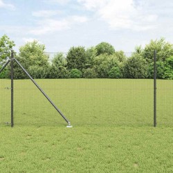 Clôture en fil soudé avec pointes 50 x 1 m Gris Maille 648539648539