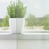 Rideaux en voile à œillets 2 pcs gris clair 648608648608