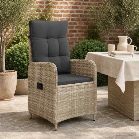 Chaise de jardin inclinable Gris clair et gris foncé 648693648693