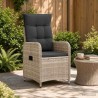Chaise de jardin inclinable Gris clair et gris foncé 648693648693