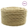 Corde de bateau 50 m 1.2 Naturel PP 649100649100
