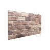 Panneaux muraux 10 pcs Marron et gris 100 x 50 cm Mousse EPS 649223649223