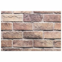 Panneaux muraux 10 pcs Marron et gris 100 x 50 cm Mousse EPS 649223649223