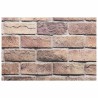 Panneaux muraux 10 pcs Marron et gris 100 x 50 cm Mousse EPS 649223649223