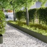 Bordure de Pelouse 50 pcs Vert olive 100 x 0,05 x 30 cm 649242649242