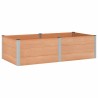 Jardinière surélevée Marron 200 x 100 x 54 cm 649360649360