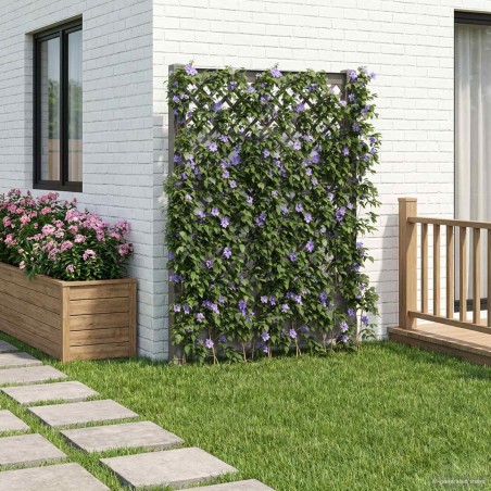 Trellis avec pique Gris 99 x 6 x 165 cm PP 649416649416